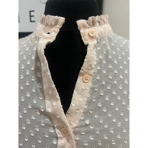 Pale Pink Sheer Polka Dot Button Down Top